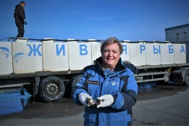 В водоём-охладитель Ростовской АЭС выпустили восемь тонн толстолобика и сазана
